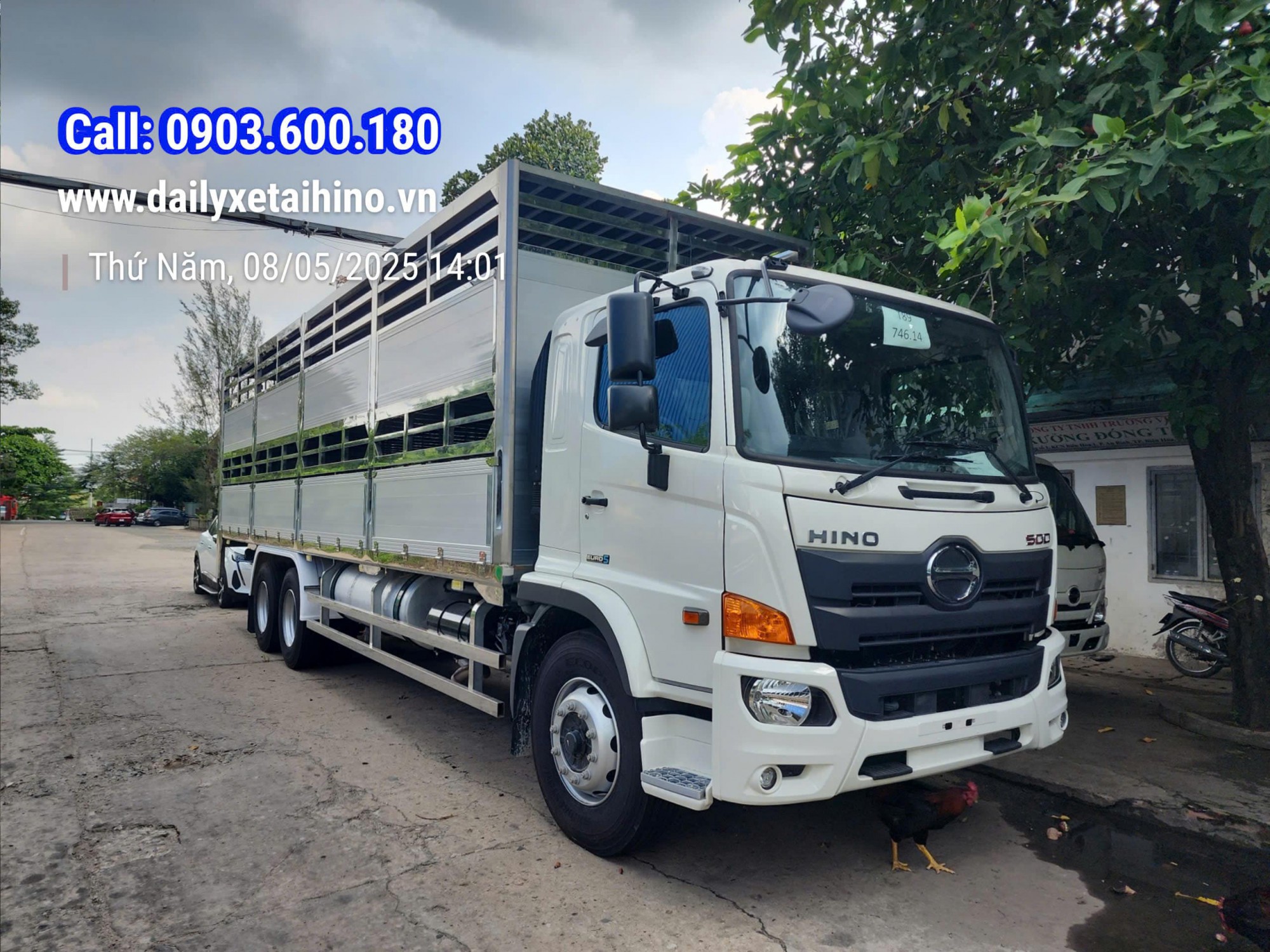 Hino 15 tấn FM thùng chở Heo